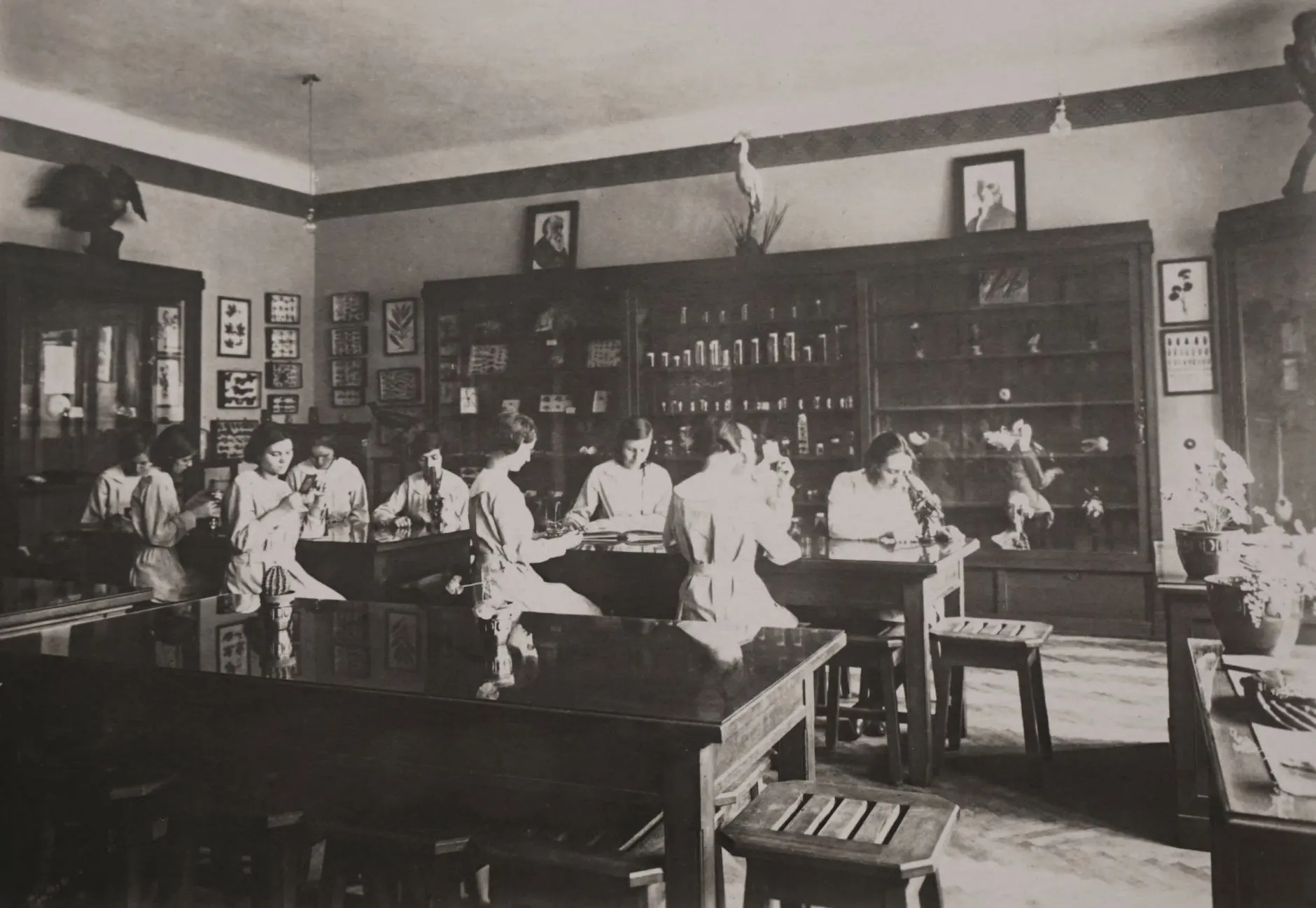 教育装备采购指南：学之门教具开发如何匹配新课标教学需求正文配图 1