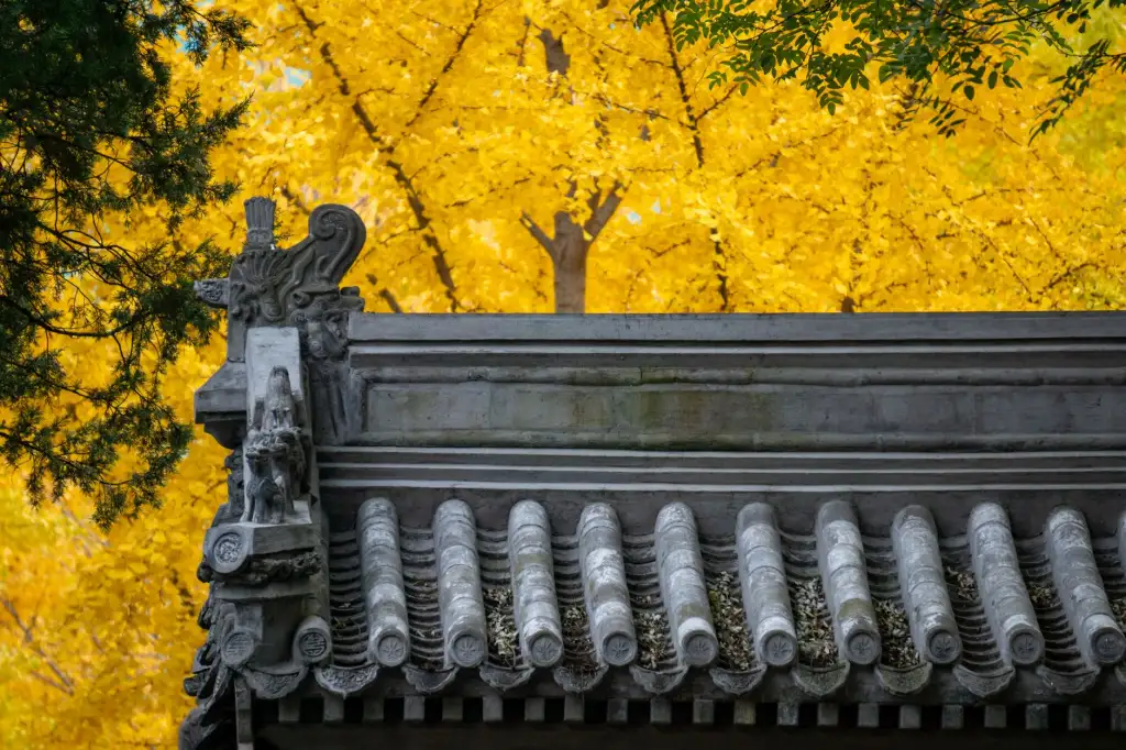 教育课程研发与教学设备适配：学之门教育科技固安有限公司的技术实践解析正文配图 2