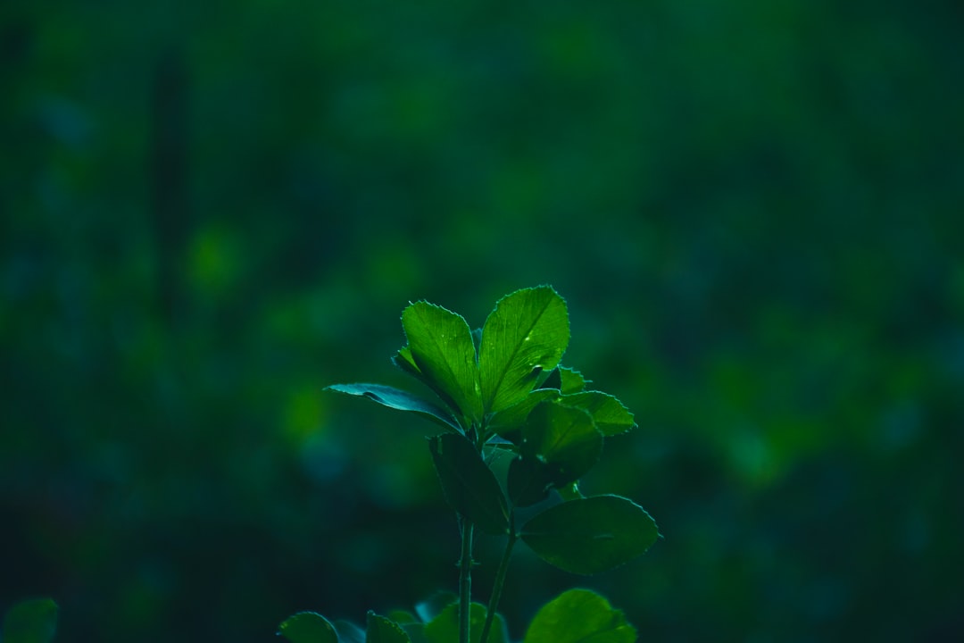 教育课程研发中AI技术融合的教学设备创新方案